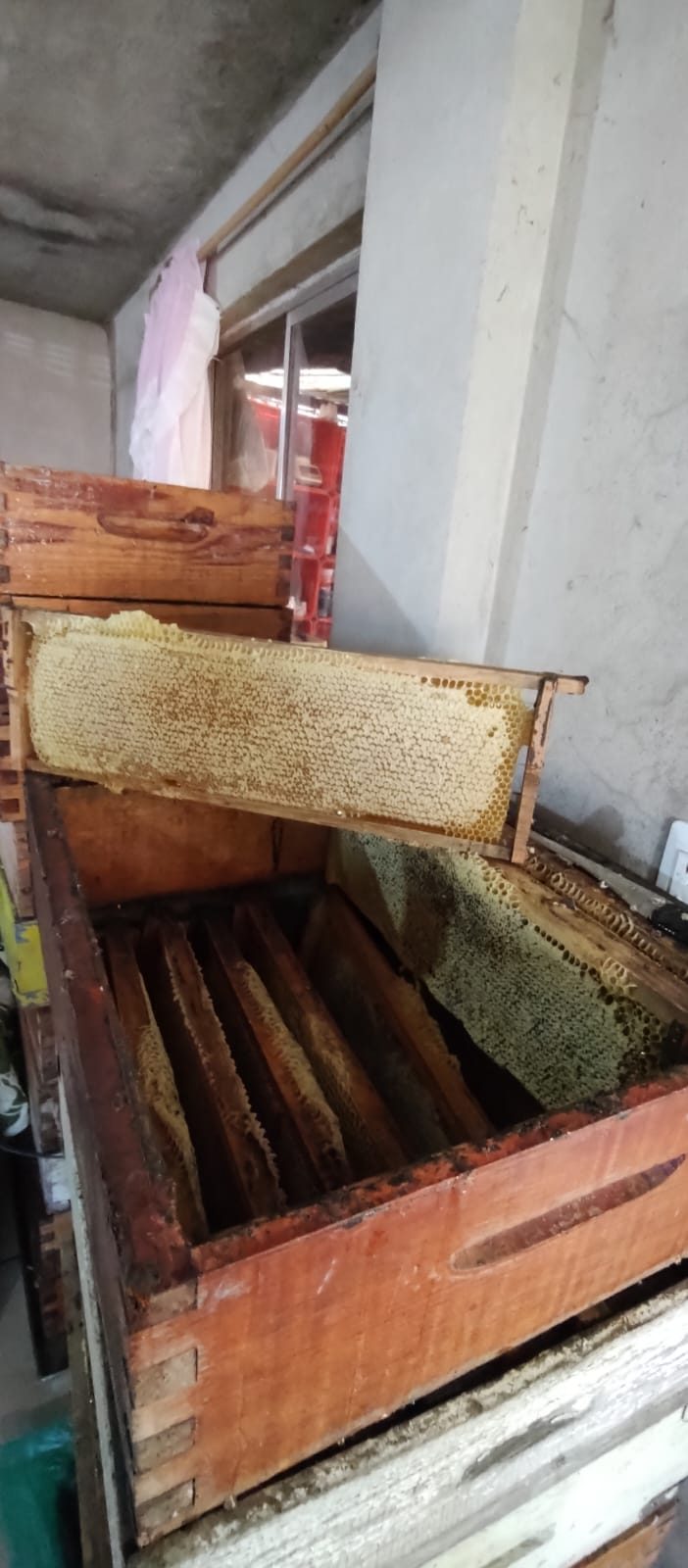 Proceso artesanal de extracción de miel